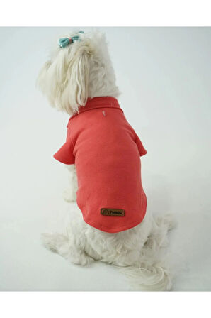 Patilinka Kedi Köpek Yazlık Kıyafet – Narçiçeği Polo Yaka Tişört