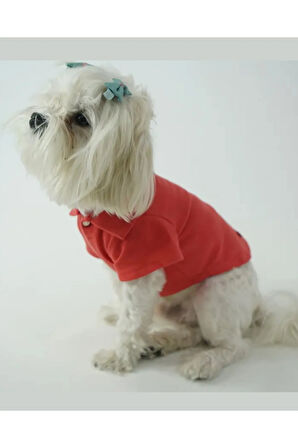 Patilinka Kedi Köpek Yazlık Kıyafet – Narçiçeği Polo Yaka Tişört