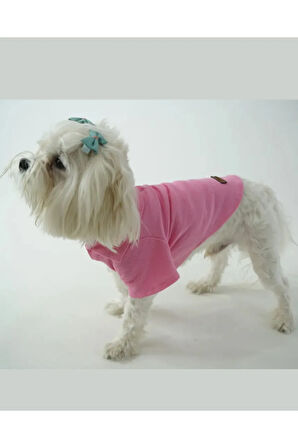Patilinka Kedi Köpek Yazlık Kıyafet – Pembe Polo Yaka Tişört