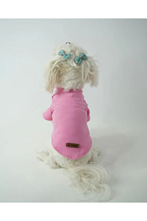 Patilinka Kedi Köpek Yazlık Kıyafet – Pembe Polo Yaka Tişört