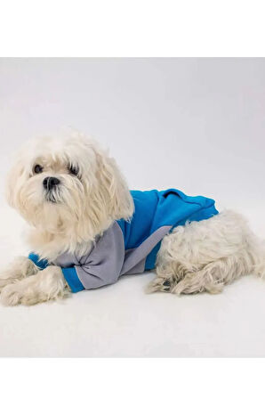 Patilinka Kedi Köpek Kıyafeti – Mevsimlik Kapüşonlu Mavi&Gri Sweat