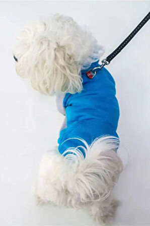 Patilinka Kedi Köpek Kıyafeti – Mevsimlik Kapüşonlu Mavi&Gri Sweat