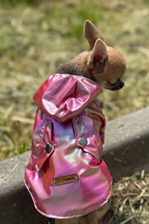 Patilinka Kedi Köpek Kışlık Kıyafet– Kırmızı Kapüşonlu Yağmurluk