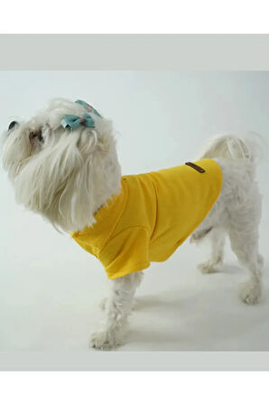 Patilinka Kedi Köpek Yazlık Kıyafet – Sarı Polo Yaka Tişört