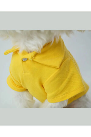Patilinka Kedi Köpek Yazlık Kıyafet – Sarı Polo Yaka Tişört
