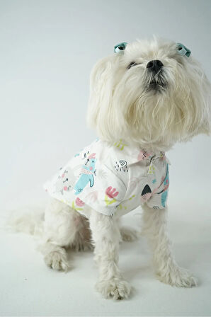 Patilinka Kedi Köpek Yazlık Kıyafet – Hayvan Desenli Beyaz Poplin Tişört