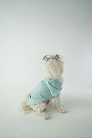 Patilinka Kedi Köpek Yazlık Kıyafet – Mint Yeşili Poplin Tişört