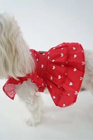 Patilinka Kedi Köpek Yazlık Kıyafet – Kalpli Kırmızı Fırfırlı Poplin Elbise