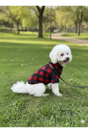 Kedi - Köpek Mevsimlik - Kışlık Triko Kazak - Sweat - Mont - Yelek