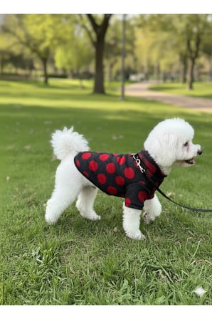Kedi - Köpek Mevsimlik - Kışlık Triko Kazak - Sweat - Mont - Yelek