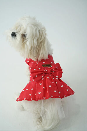 Patilinka Kedi Köpek Yazlık Kıyafet – Kalpli Kırmızı  Fiyonklu Poplin Elbise
