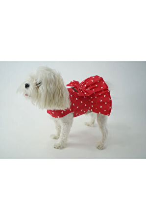 Patilinka Kedi Köpek Yazlık Kıyafet – Kalpli Kırmızı  Fiyonklu Poplin Elbise