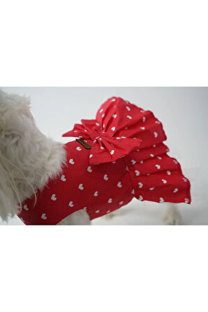 Patilinka Kedi Köpek Yazlık Kıyafet – Kalpli Kırmızı  Fiyonklu Poplin Elbise