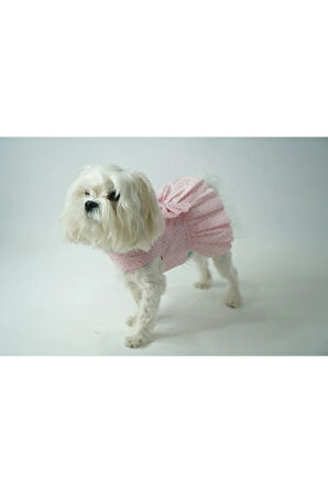 Patilinka Kedi Köpek Yazlık Kıyafet – Puantiyeli Pembe Fiyonklu Poplin Elbise