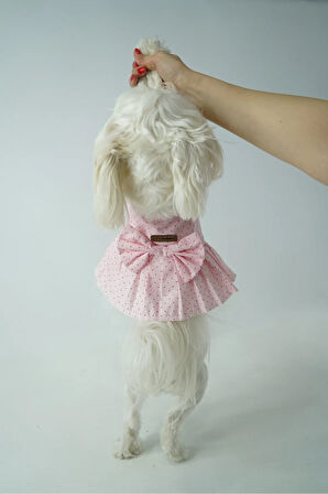 Patilinka Kedi Köpek Yazlık Kıyafet – Puantiyeli Pembe Fiyonklu Poplin Elbise