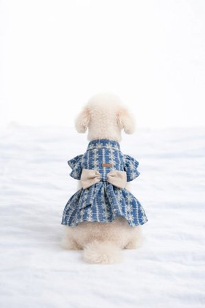 Kedi - Köpek Yazlık - Mevsimlik Çiçekli Kot Elbise - Jile - Kıyafet -Tişört