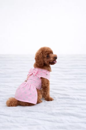 Kedi - Köpek Yazlık - Mevsimlik Payetli Kot Elbise - Jile - Kıyafet - Tişört