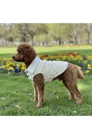 Kedi - Köpek İçi Polarlı Dışı Payetli Kışlık Kot Ceket - Mont - Yağmurluk - Yelek -Kıyafet