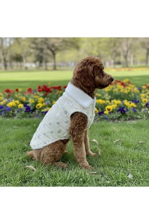 Kedi - Köpek İçi Polarlı Dışı Payetli Kışlık Kot Ceket - Mont - Yağmurluk - Yelek -Kıyafet