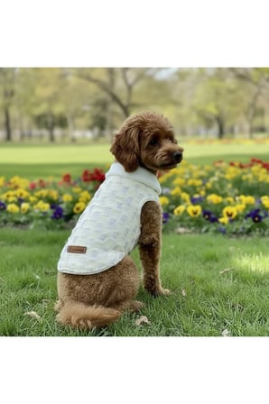 Kedi - Köpek İçi Polarlı Dışı Payetli Kışlık Kot Ceket - Mont - Yağmurluk - Yelek -Kıyafet