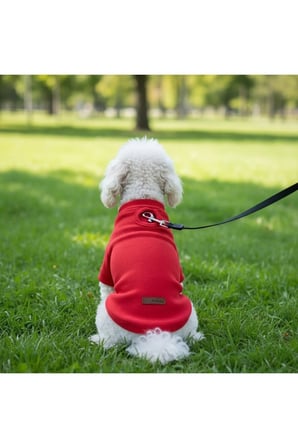 Kedi - Köpek Kaşkorse Esnek Mevsimlik Ceket - Mont - Yağmurluk - Yelek - Kıyafet