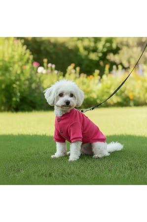 Kedi - Köpek Kaşkorse Esnek Mevsimlik Ceket - Mont - Yağmurluk - Yelek - Kıyafet