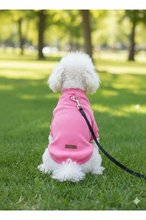 Kedi - Köpek Kaşkorse Esnek Mevsimlik Ceket - Mont - Yağmurluk - Yelek - Kıyafet