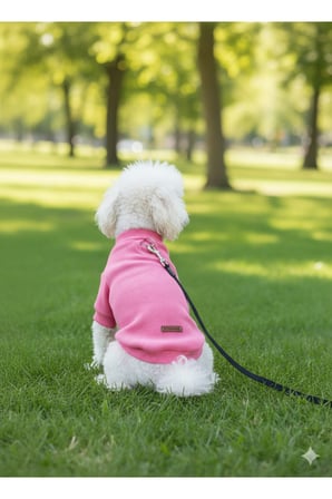 Kedi - Köpek Kaşkorse Esnek Mevsimlik Ceket - Mont - Yağmurluk - Yelek - Kıyafet