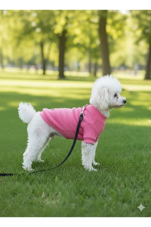 Kedi - Köpek Kaşkorse Esnek Mevsimlik Ceket - Mont - Yağmurluk - Yelek - Kıyafet