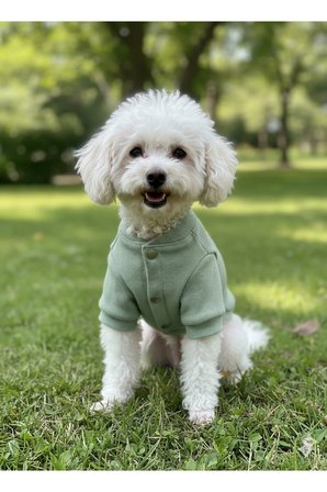 Kedi - Köpek Kaşkorse Esnek Mevsimlik Ceket - Mont - Yağmurluk - Yelek - Kıyafet