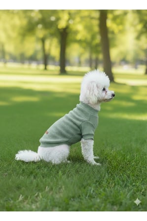 Kedi - Köpek Kaşkorse Esnek Mevsimlik Ceket - Mont - Yağmurluk - Yelek - Kıyafet