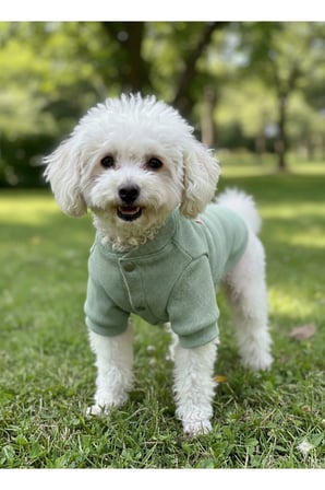 Kedi - Köpek Kaşkorse Esnek Mevsimlik Ceket - Mont - Yağmurluk - Yelek - Kıyafet