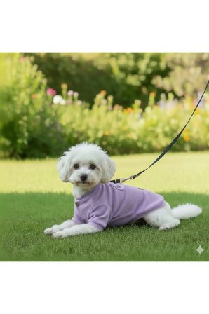 Kedi - Köpek Kaşkorse Esnek Mevsimlik Ceket - Mont - Yağmurluk - Yelek - Kıyafet