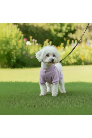 Kedi - Köpek Kaşkorse Esnek Mevsimlik Ceket - Mont - Yağmurluk - Yelek - Kıyafet
