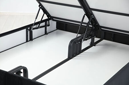 Star Baza Başlık  Siyah Ayak Anka19 140x200