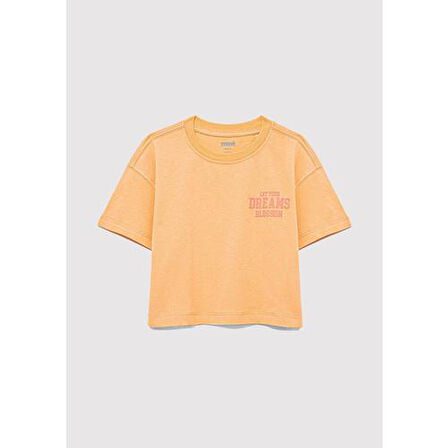 CHASE YOUR DREAMS BASKILI CROP TİŞÖRT