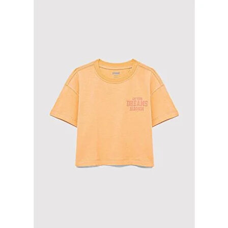 CHASE YOUR DREAMS BASKILI CROP TİŞÖRT