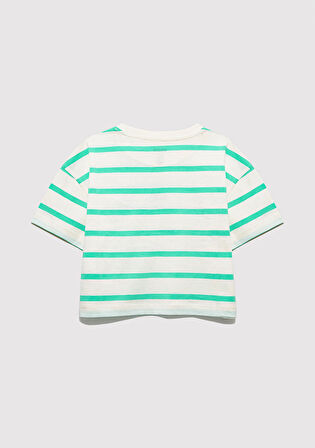 Mavi Logo Baskılı Yeşil Çizgili Crop Tişört 7610182-88145