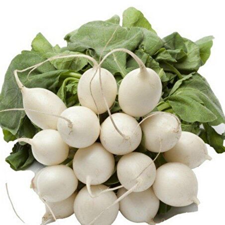 Beyaz Turp Tohumu (500 tohum)