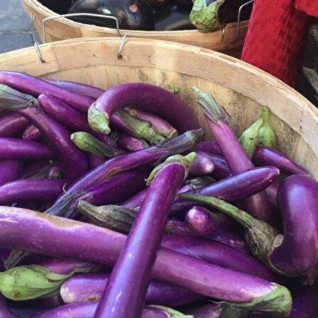 Doğal Long Purple Patlıcan Tohumu (50 tohum)