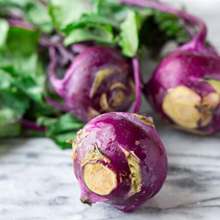 Doğal Mor Kohlrabi (Alabaş) Tohumu (20 Tohum)