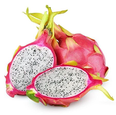 Tüplü Nadir Bulunan İçi Beyaz Pitaya (Ejder Meyvesi) Fidanı