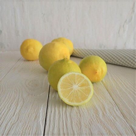 Tüplü Aşılı Tatlı Şeker Limon Fidanı