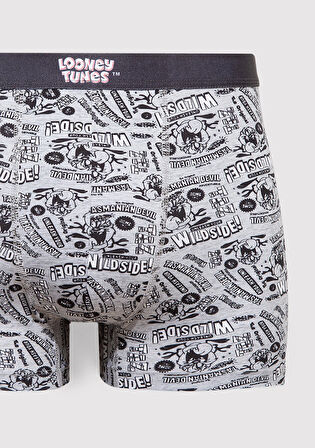 Gri Boxer 0911983-24386