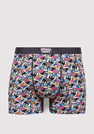Renkli Boxer 0911984-34621