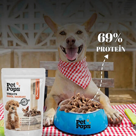 Köpekler için %100 Doğal Dondurularak Kurutulmuş Tavuk Yürek Mama - 40gr