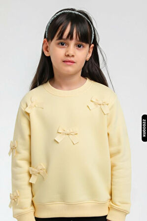 Kız Çocuk Sweatşirt 1-4 Yaş 39622