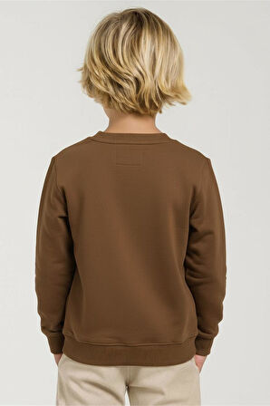 Erkek Çocuk Swaetşirt 1-4 Yaş 49602