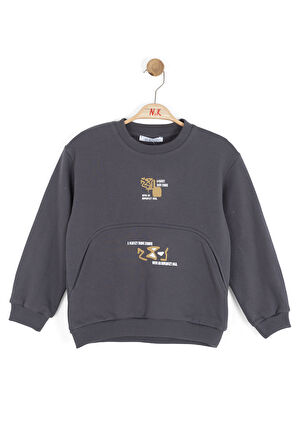 Erkek Çocuk Swaetşirt 4-8 Yaş 49507