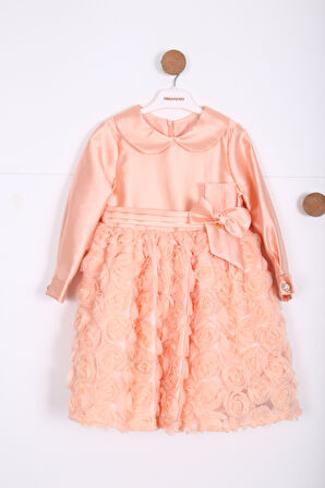 Kız Çocuk Elbise 2-6 Yaş 9170